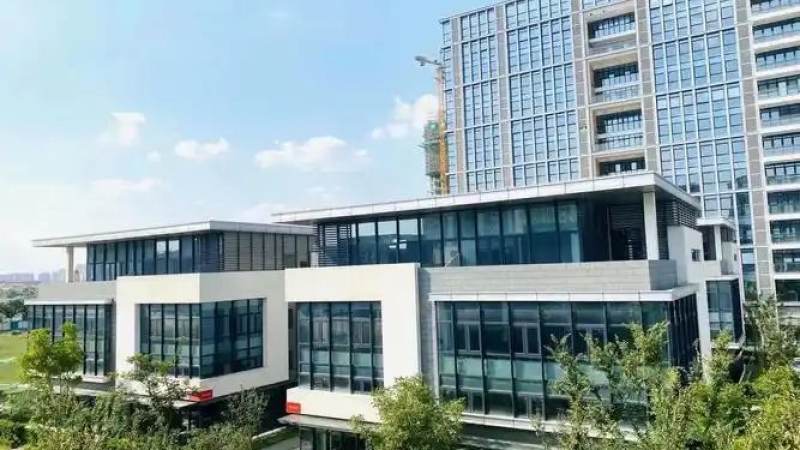 天天赢球是什么游戏？篮球比分预测平台定位解析